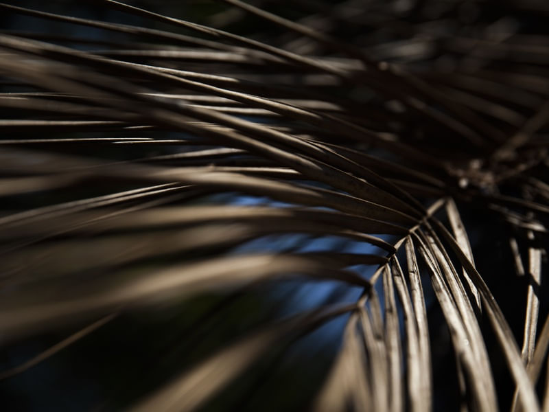 ABSTRATOS - UE