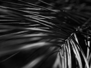 ABSTRATOS PB - UE