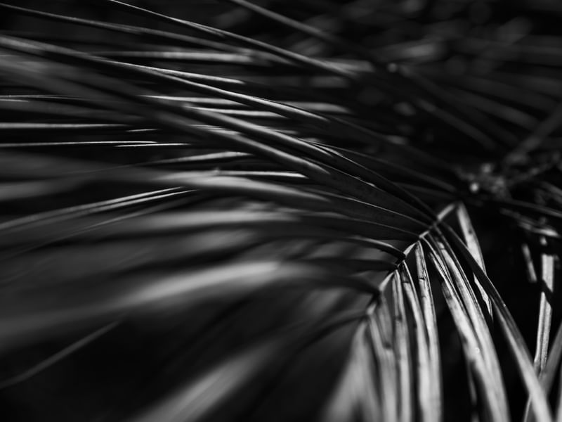 ABSTRATOS PB - UE
