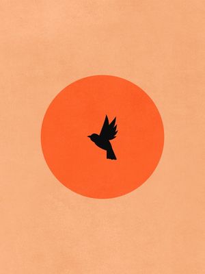 EL PÁJARO SOLITARIO II