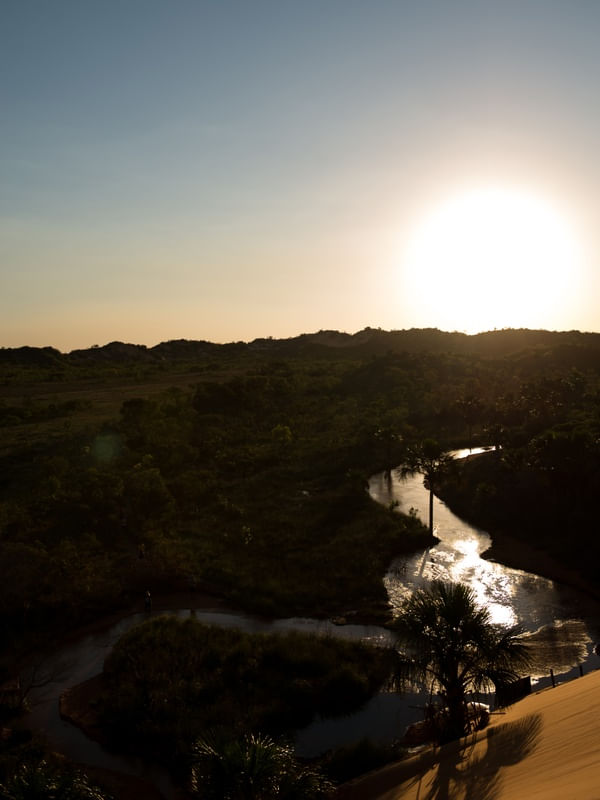 FLUIR DA NATUREZA
