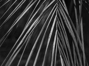 DETALHES PB - UE