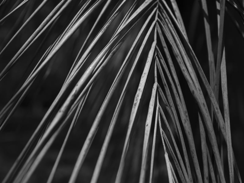 DETALHES PB - UE