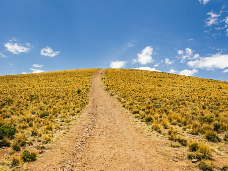 CAMINHO PARA O CÉU | PAISAGEM COLORIDA DO DESERTO DO ATACAMA