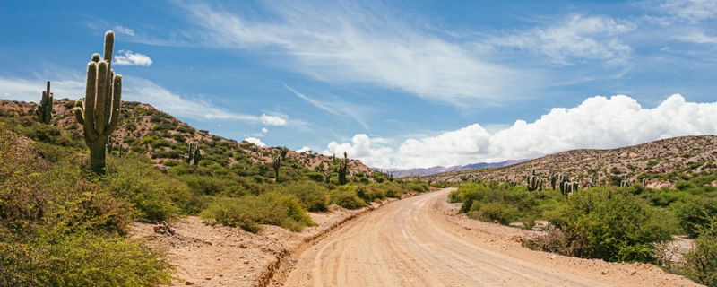 ESTRADA DE TERRA NO DESERTO DO ATACAMA, PAISAGEM COLORIDA PANORÂMICA