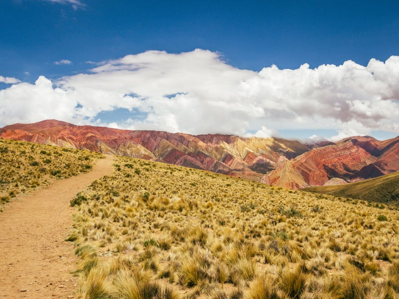 CERRO DE LAS 14 COLORES | DESERTO DO ATACAMA, CORDILHEIRA DOS ANDES