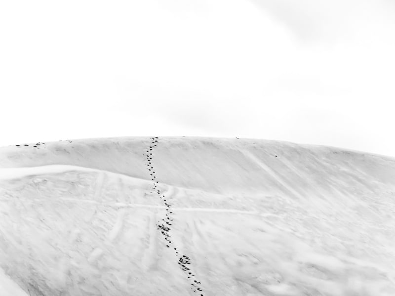 DUNE - DÍPTICO 1