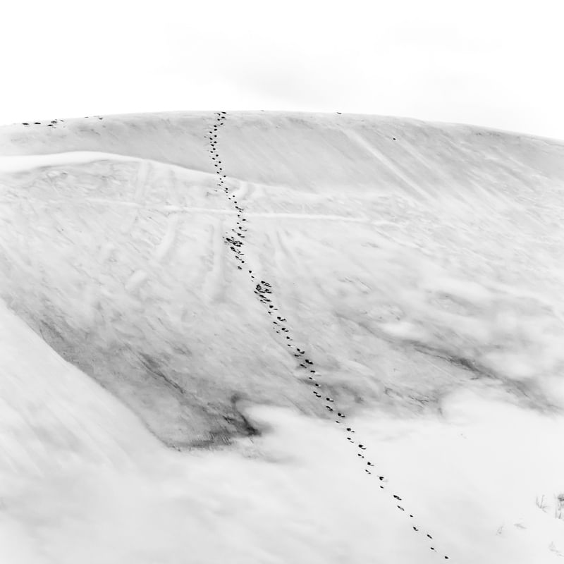 DUNE 10