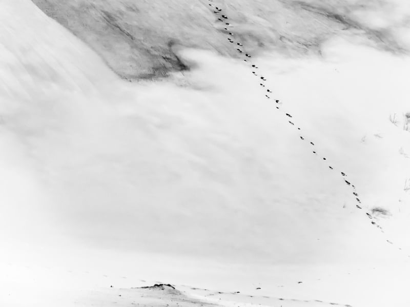 DUNE - DÍPTICO 2