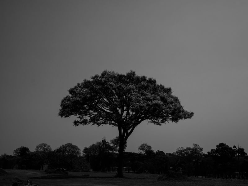 LANDSCAPE - UE