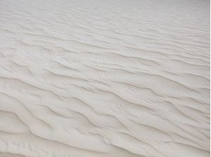 TEXTURAS DO VENTO