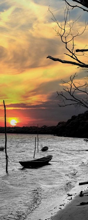 OS BARCOS E O MANGUE 3