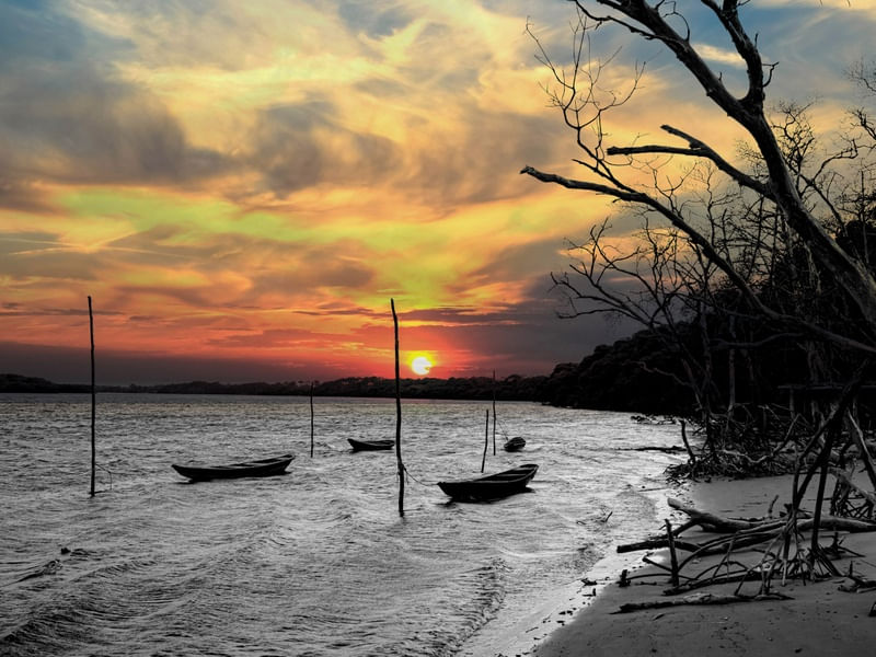 OS BARCOS E O MANGUE