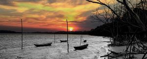 OS BARCOS E O MANGUE 2