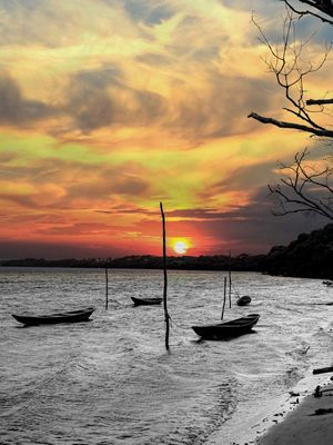 OS BARCOS E O MANGUE 5
