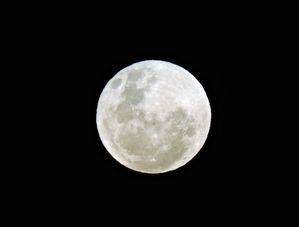 LUA GP