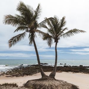 NA RAIZ DO MAR
