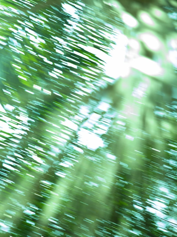 GREEN ART I
