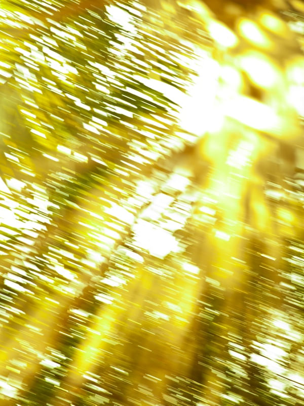 YELLOW ART I