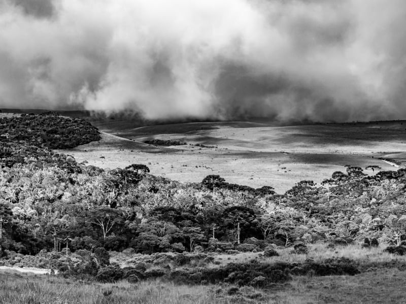 NEBLINA COBRINDO OS CAMPOS DE CIMA DA SERRA