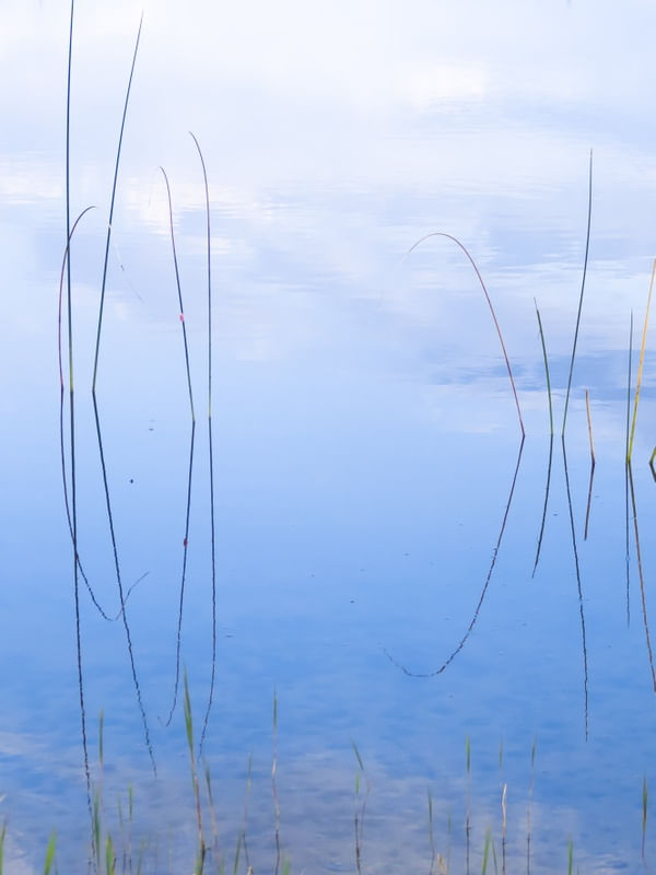 LAKE REFLEX - DÍPTICO 1