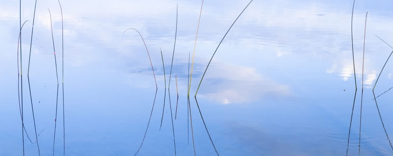LAKE REFLEX 1