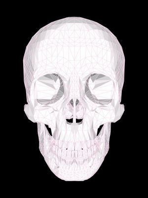 SKULL WHITE