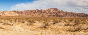 JOSHUA TREE MOUNTAIN