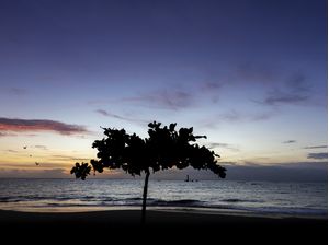AMANHECER EM PONTA VERDE