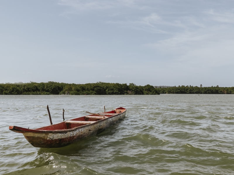CANOA DE RIO