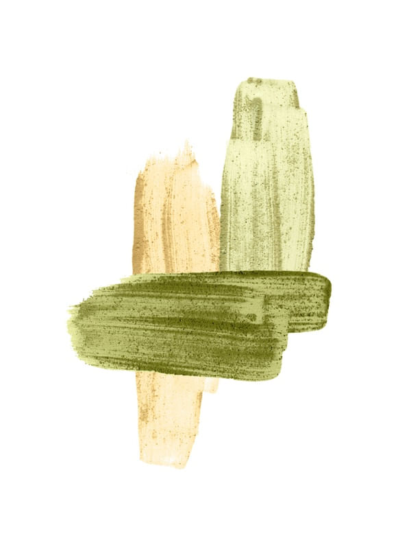 COLORFUL BRUSH STROKES