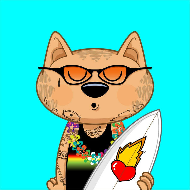 BRASA_CATS_SURF
