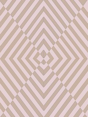VORTEX BEGE ROSA, ABSTRATO GEOMETRICO OPT ART LINHAS ILUSTRAÇÃO