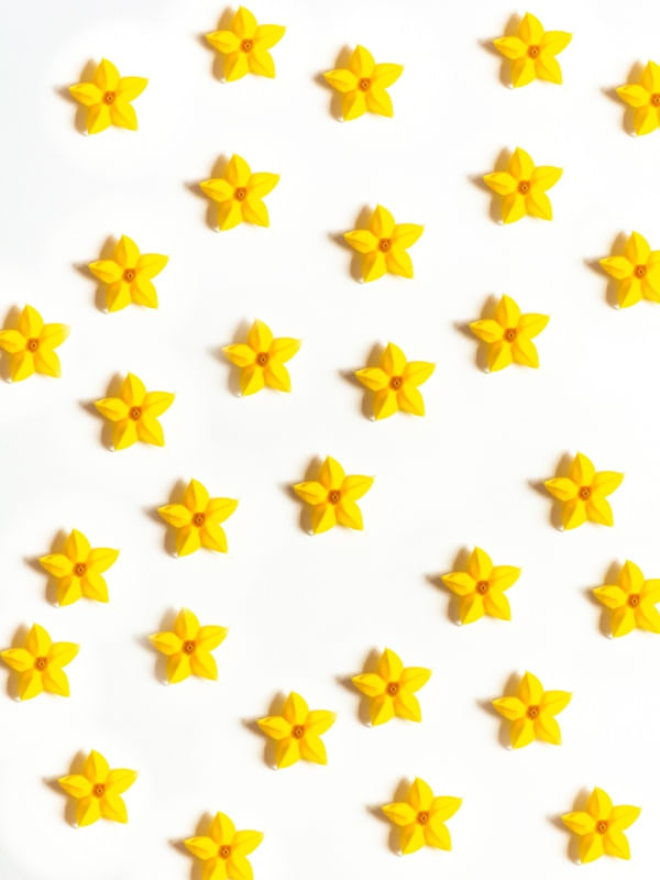 MUSSAENDA ESTRELA 3