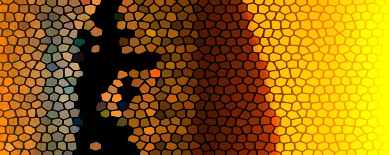 PANORAMICA BEEHIVE JU