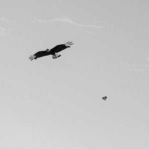 PERSEGUIÇÃO 2 B&W