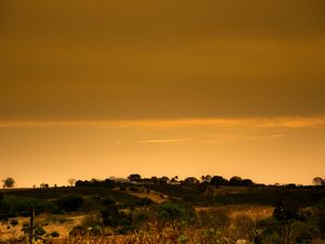 PAISAGEM RURAL 1