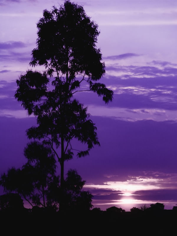 AS CORES DO CÉU 12