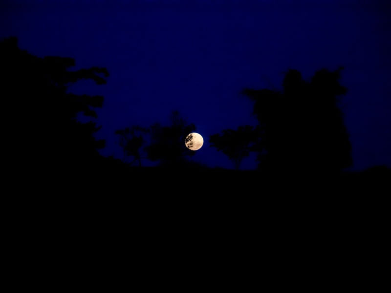 O NASCER DA LUA CHEIA NO CAMPO