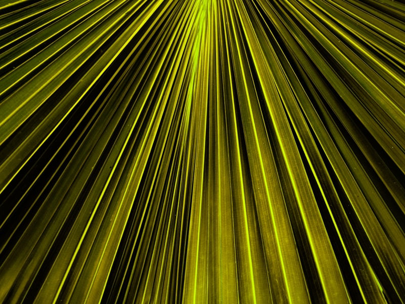 GREEN LEAF I