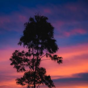 AS CORES DO CÉU 1