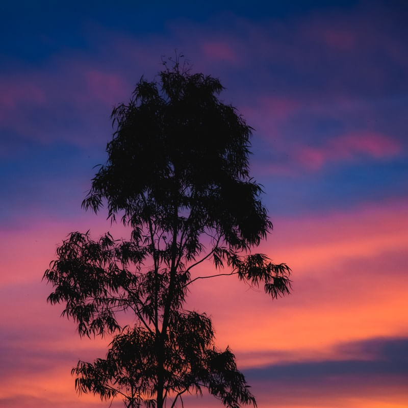 AS CORES DO CÉU 1
