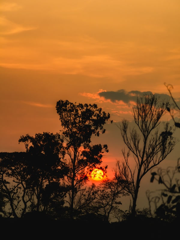 SUNSET 3R