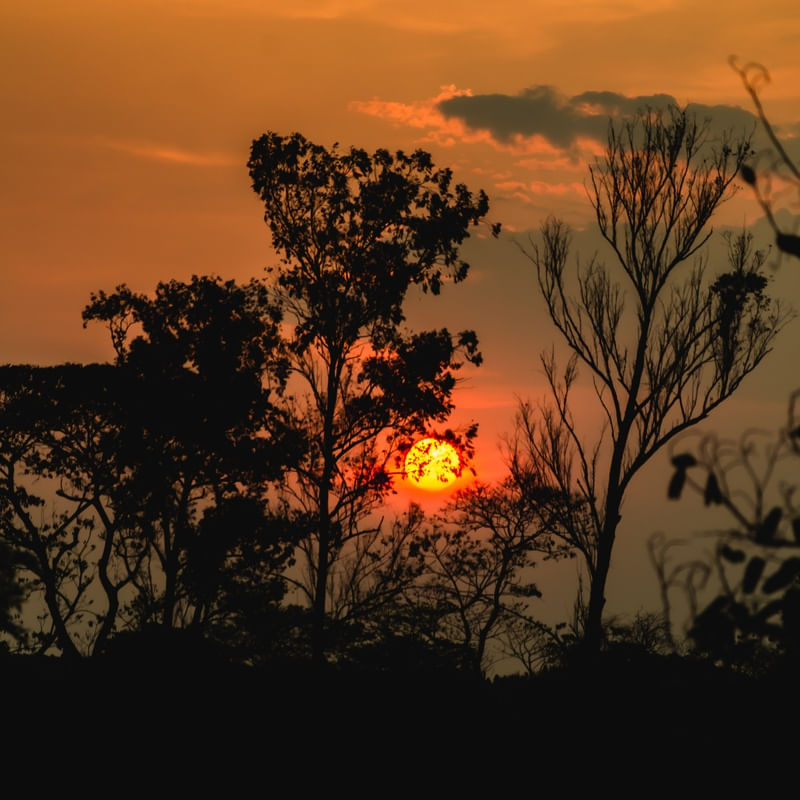 SUNSET 1Q