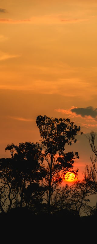 SUNSET 2V
