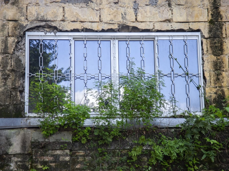 JANELA VERDE 1