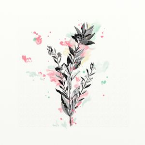FLORAÇÃO 26