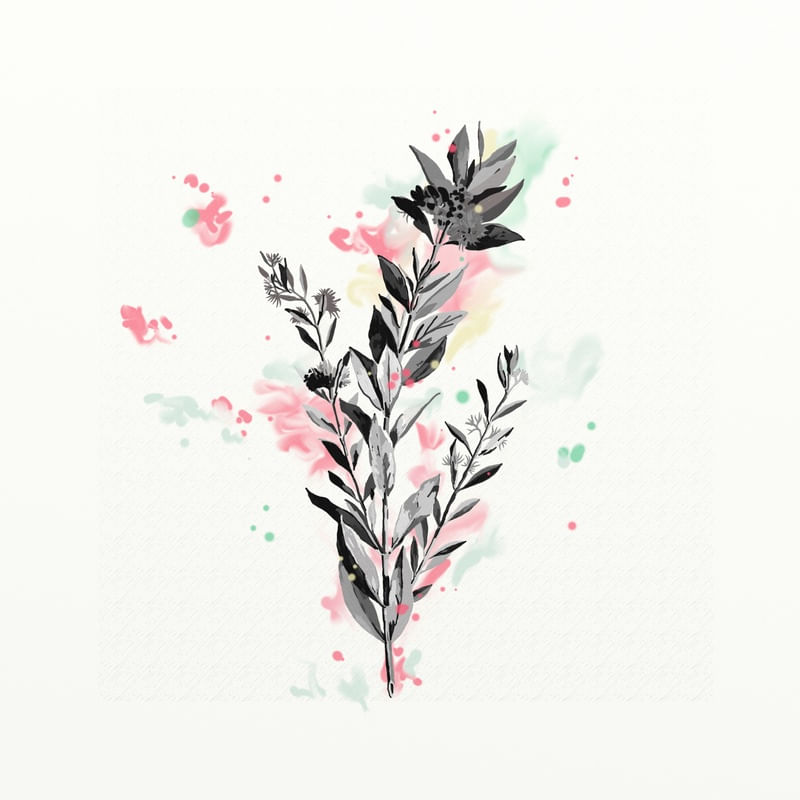 FLORAÇÃO 26