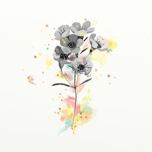 FLORAÇÃO 27