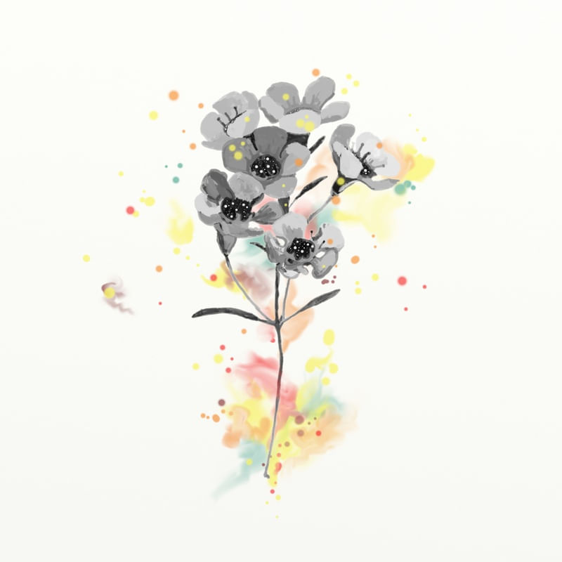 FLORAÇÃO 27